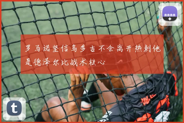 罗马诺坚信乌多吉不会离开热刺他是德泽尔比战术核心