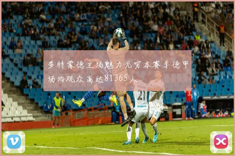 多特蒙德主场魅力无穷本赛季德甲场均观众高达81365人